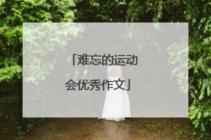 难忘的运动会优秀作文