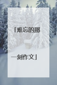 难忘的那一刻作文