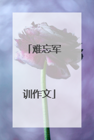难忘军训作文