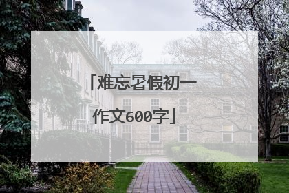 难忘暑假初一作文600字