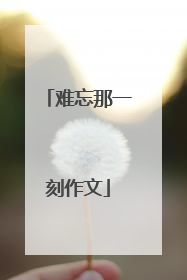 难忘那一刻作文