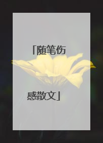 随笔伤感散文
