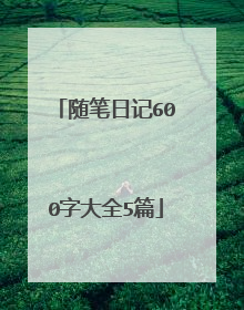 随笔日记600字大全5篇