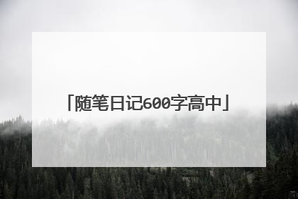 随笔日记600字高中