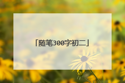 随笔300字初二