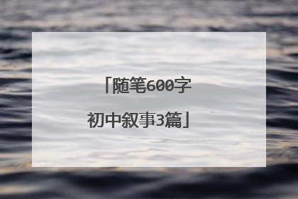 随笔600字初中叙事3篇