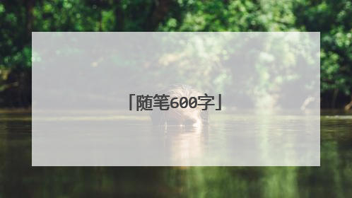 随笔600字