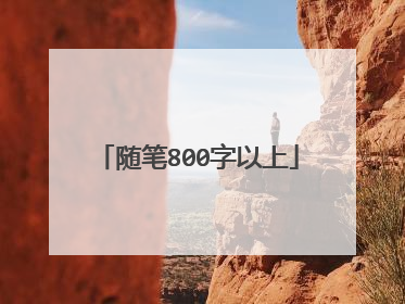 随笔800字以上
