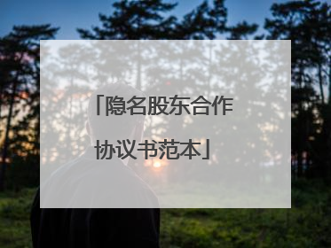 隐名股东合作协议书范本