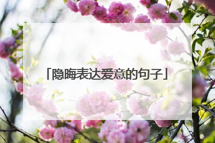 隐晦表达爱意的句子