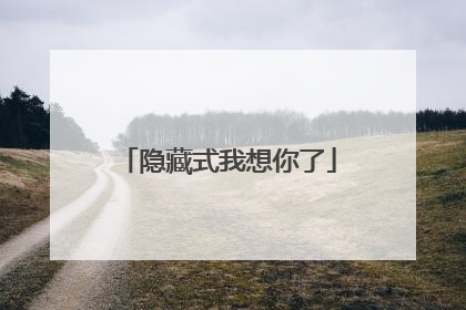 隐藏式我想你了