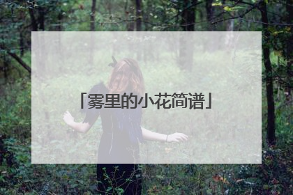 雾里的小花简谱