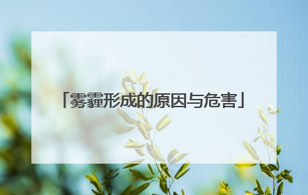 雾霾形成的原因与危害