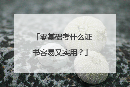 零基础考什么证书容易又实用？
