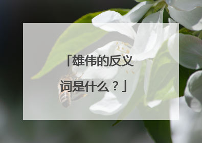 雄伟的反义词是什么？