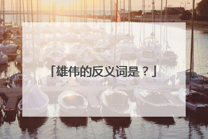 雄伟的反义词是？