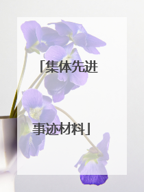 集体先进事迹材料