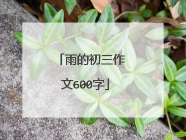 雨的初三作文600字