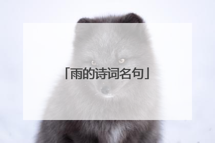 雨的诗词名句