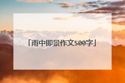 雨中即景作文500字