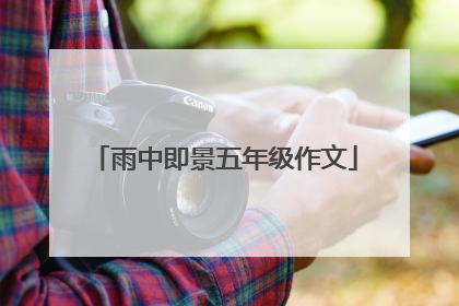 雨中即景五年级作文
