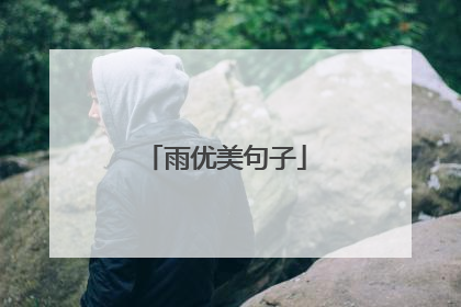 雨优美句子
