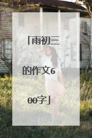 雨初三的作文600字