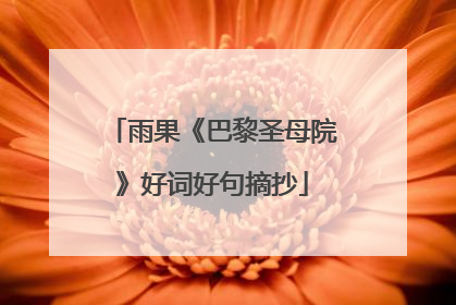 雨果《巴黎圣母院》好词好句摘抄