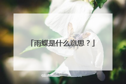 雨蝶是什么意思？