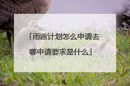 雨露计划怎么申请去哪申请要求是什么