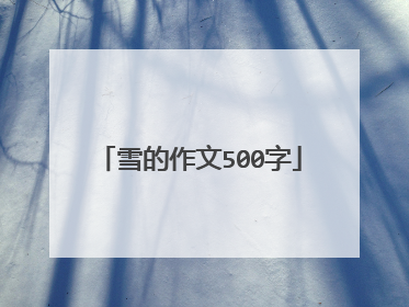 雪的作文500字