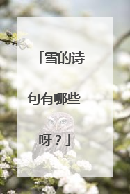 雪的诗句有哪些呀？