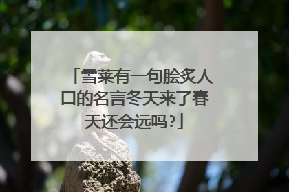 雪莱有一句脍炙人口的名言冬天来了春天还会远吗?