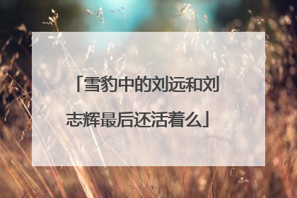 雪豹中的刘远和刘志辉最后还活着么