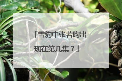 雪豹中张若昀出现在第几集?