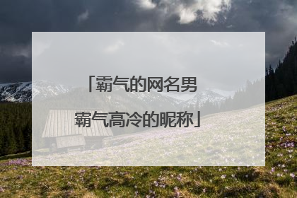 霸气的网名男 霸气高冷的昵称