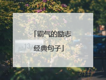 霸气的励志经典句子