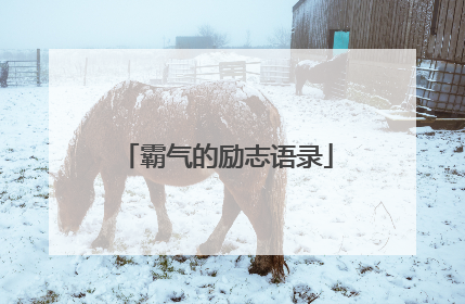 霸气的励志语录