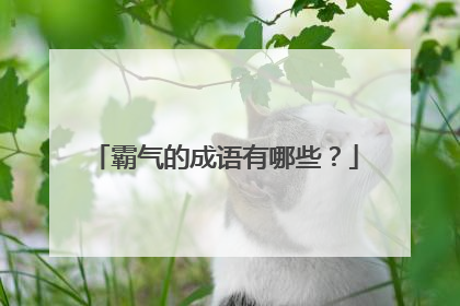 霸气的成语有哪些?