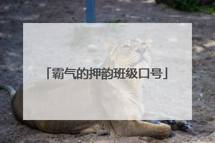霸气的押韵班级口号