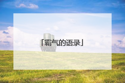 霸气的语录