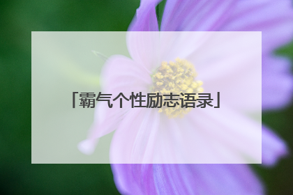 霸气个性励志语录