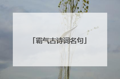 霸气古诗词名句