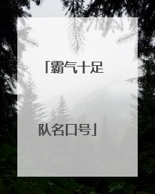霸气十足队名口号