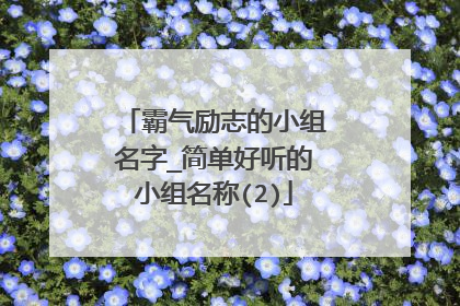 霸气励志的小组名字_简单好听的小组名称(2)