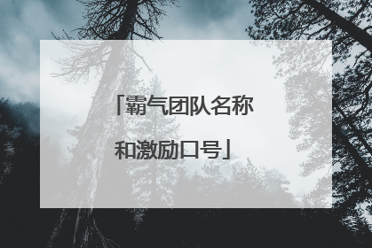 霸气团队名称和激励口号