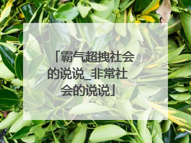 霸气超拽社会的说说_非常社会的说说