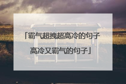 霸气超拽超高冷的句子 高冷又霸气的句子