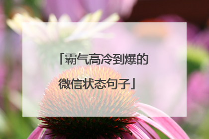 霸气高冷到爆的微信状态句子