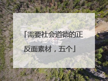 需要社会道德的正反面素材，五个